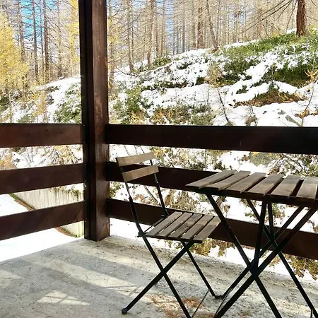 Apartament Pine Tree *